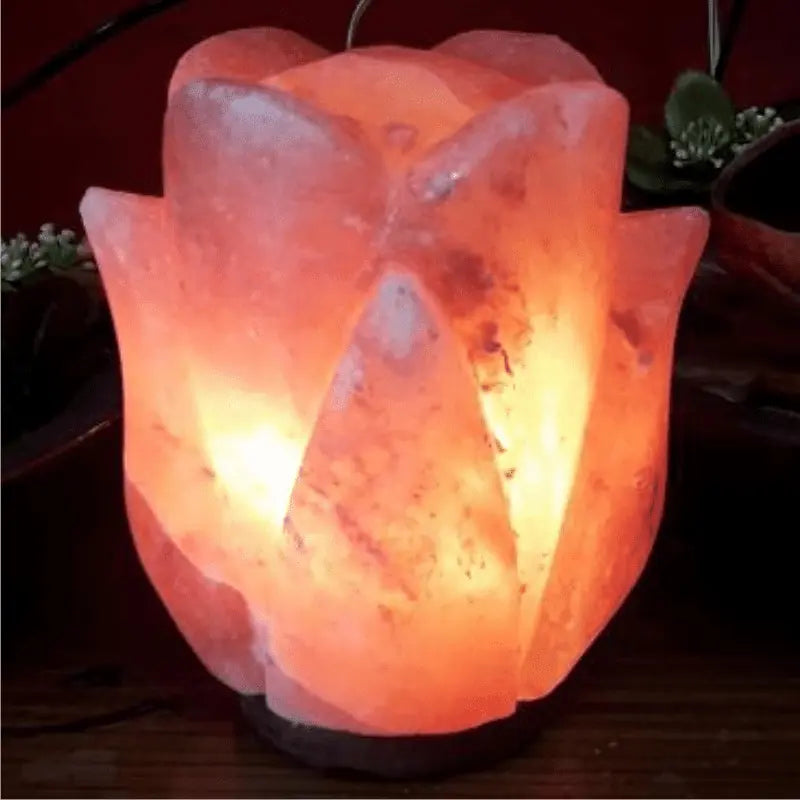 Lámpara de Sal Rosa Himalaya- Loto